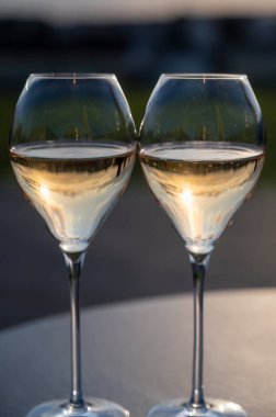 Beyaz şarap brut, büyük rezervler, yeşil üzüm bağlarında şampanya eski şaraplarda büyük Cru Ay-Şampanya köyü Vallee de la Marne 'da, şampanya, Fransa' da günbatımında, düğün konsepti