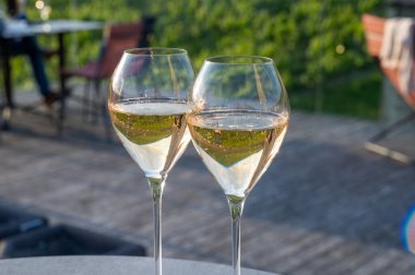 Beyaz şarap brut, büyük rezervler, yeşil üzüm bağlarında şampanya eski şaraplarda büyük Cru Ay-Şampanya köyü Vallee de la Marne 'da, şampanya, Fransa' da günbatımında, düğün konsepti