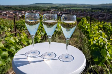 Kuru, köpüklü şarap brut, büyük rezervler, yeşil tepe üzüm bağlarında şampanya ve Vallee de la Marne, Fransa 'nın Şampanya Bölgesi' nde köy yapımı eski şaraplar.