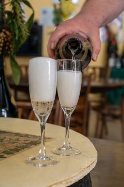 Beyaz, köpüklü şarap brut, Grand Rezerv, Grand Cru 'da şampanya Vallee de la Marne' da köy yapımı Ay-Şampanya Şarabı, Champagne Bölgesi, Fransa