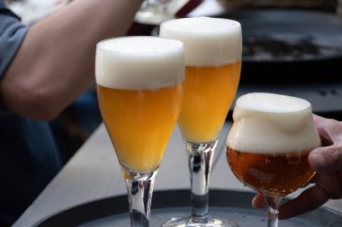 Belçika birası, Bruges 'deki eski bira fabrikasında servis edilir. Sert, lezzetli bir içecek, birayla öğle yemeği, turizm merkezi, Flanders, Belçika.