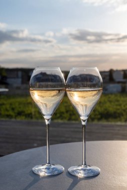 Beyaz şarap brut, büyük rezervler, yeşil üzüm bağlarında şampanya eski şaraplarda büyük Cru Ay-Şampanya köyü Vallee de la Marne 'da, şampanya, Fransa' da günbatımında, düğün konsepti