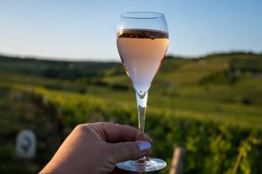 Bir bardak köpüklü şarap brut, büyük rezerv, yeşil tepe üzüm bağlarında şampanya ve Vallee de la Marne 'de eski şarap köyü manzaralı şampanya, Fransa