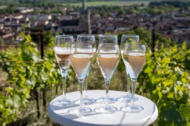 Beyaz ve gül tadım şarap brut, büyük rezerv, yeşil tepe üzüm bağlarında şampanya ve Vallee de la Marne 'da köy yapan eski şarap manzarası, şampanya, Fransa