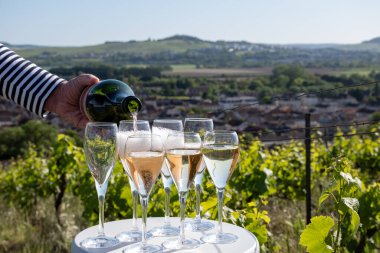 Beyaz ve gül tadım şarap brut, büyük rezerv, yeşil tepe üzüm bağlarında şampanya ve Vallee de la Marne 'da köy yapan eski şarap manzarası, şampanya, Fransa
