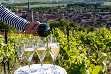 Beyaz ve gül tadım şarap brut, büyük rezerv, yeşil tepe üzüm bağlarında şampanya ve Vallee de la Marne 'da köy yapan eski şarap manzarası, şampanya, Fransa