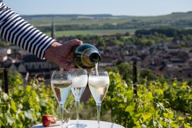 Kuru, köpüklü şarap brut, büyük rezervler, yeşil tepe üzüm bağlarında şampanya ve Vallee de la Marne, Fransa 'nın Şampanya Bölgesi' nde köy yapımı eski şaraplar.