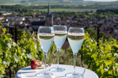 Kuru, köpüklü şarap brut, büyük rezervler, yeşil tepe üzüm bağlarında şampanya ve Vallee de la Marne, Fransa 'nın Şampanya Bölgesi' nde köy yapımı eski şaraplar.