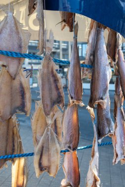 Oostende, Belçika 'da deniz gezintisine havayla ya da tuzlanmış morina balığıyla süslenmiş.