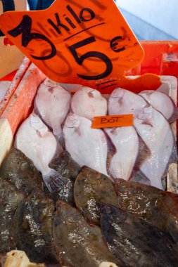 Oostende, Kuzey Denizi, Belçika 'da günün avı. Taze turbot, bot, bitkisel balıklar yakın plan.