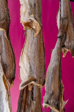 Oostende, Belçika 'da deniz gezintisine havayla ya da tuzlanmış morina balığıyla süslenmiş.