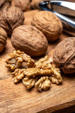 Cevizler kurumuş fındık, Perigord, Dordogne, Fransa 'da AOP cevizi ekimi