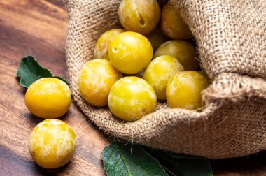Fransa 'dan tatlı, küçük, sarı mirabelle erikleri, sağlıklı organik meyveler.
