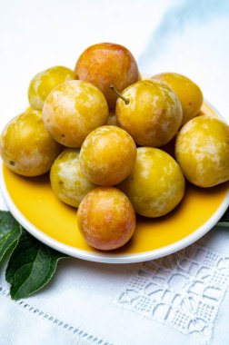 Fransa 'dan tatlı, küçük, sarı mirabelle erikleri, sağlıklı organik meyveler.