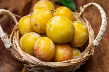 Fransa 'dan tatlı, küçük, sarı mirabelle erikleri, sağlıklı organik meyveler.