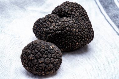 Lezzetli mantarlar, İtalya 'dan taze siyah mantar mantarı lezzetli aromalı mantar yemekleri yapmak için Fransa' da aşçılık restoranı.