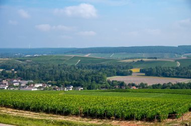Essoyes ve Celles-sur-Ource, Champagne-Ardennes, Fransa, Avrupa yakınlarındaki Aube şubesinin Cote des Bar bölgesinde şampanya bağları
