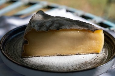 Peynir koleksiyonu, Fransız St Nectaire peyniri. Fransız köyünde servis edilen kahverengi küflü.