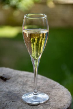 Yazın Fransa 'nın Cote des Bar bölgesindeki eski Fransız köyünde köpüklü köpüklü beyaz şarap içmek.