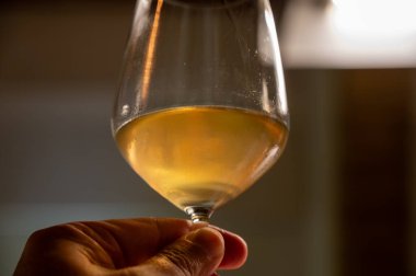 Eski büyük meşe fıçılarıyla şarap mahzeni ziyareti, güçlendirilmiş kuru veya tatlı marsala şarabı ile tatma bardakları Marsala, Sicilya, İtalya 'da şarap endüstrisi