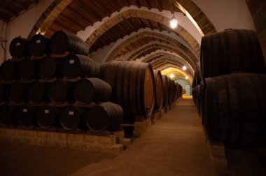 Eski büyük meşe fıçılarıyla şarap mahzeni ziyareti, Marsala, Sicilya 'da güçlendirilmiş kuru veya tatlı marsala şarabı üretimi, İtalya' da şarap endüstrisi