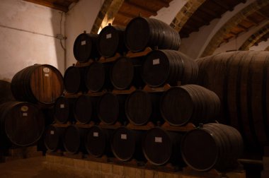 Eski büyük meşe fıçılarıyla şarap mahzeni ziyareti, Marsala, Sicilya 'da güçlendirilmiş kuru veya tatlı marsala şarabı üretimi, İtalya' da şarap endüstrisi