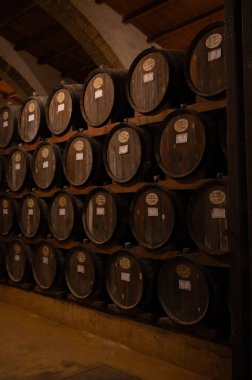 Eski büyük meşe fıçılarıyla şarap mahzeni ziyareti, Marsala, Sicilya 'da güçlendirilmiş kuru veya tatlı marsala şarabı üretimi, İtalya' da şarap endüstrisi