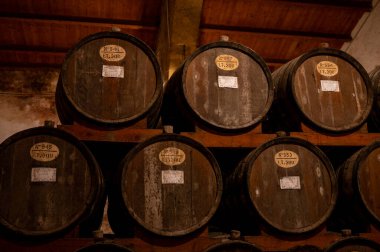 Eski büyük meşe fıçılarıyla şarap mahzeni ziyareti, Marsala, Sicilya 'da güçlendirilmiş kuru veya tatlı marsala şarabı üretimi, İtalya' da şarap endüstrisi