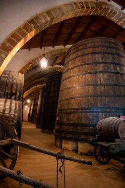 Eski büyük meşe fıçılarıyla şarap mahzeni ziyareti, Marsala, Sicilya 'da güçlendirilmiş kuru veya tatlı marsala şarabı üretimi, İtalya' da şarap endüstrisi