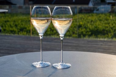 Beyaz şarap brut, büyük rezervler, yeşil üzüm bağlarında şampanya eski şaraplarda büyük Cru Ay-Şampanya köyü Vallee de la Marne 'da, şampanya, Fransa' da günbatımında, düğün konsepti