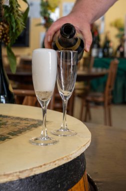 Beyaz, köpüklü şarap brut, Grand Rezerv, Grand Cru 'da şampanya Vallee de la Marne' da köy yapımı Ay-Şampanya Şarabı, Champagne Bölgesi, Fransa