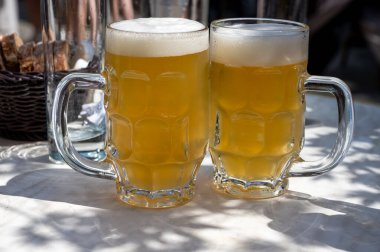 Belçika birası özel bardaklarda servis edilir Bruges 'deki eski bira fabrikasında, açık ya da koyu, lezzetli içecek, birayla öğle yemeği, turizm merkezi, Flanders, Belçika