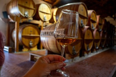 Eski büyük meşe fıçılarıyla şarap mahzeni ziyareti, el ele tutuşma, güçlendirilmiş kuru veya tatlı marsala şarabı Marsala, Sicilya, İtalya, şarap endüstrisi...