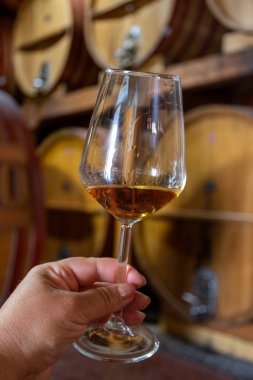 Eski büyük meşe fıçılarıyla şarap mahzeni ziyareti, el ele tutuşma, güçlendirilmiş kuru veya tatlı marsala şarabı Marsala, Sicilya, İtalya, şarap endüstrisi...
