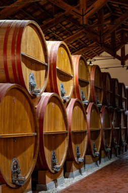 Eski büyük meşe fıçılarıyla şarap mahzeni ziyareti, Marsala, Sicilya 'da güçlendirilmiş kuru veya tatlı marsala şarabı üretimi, İtalya' da şarap endüstrisi