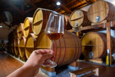 Eski büyük meşe fıçılarıyla şarap mahzeni ziyareti, el ele tutuşma, güçlendirilmiş kuru veya tatlı marsala şarabı Marsala, Sicilya, İtalya, şarap endüstrisi...