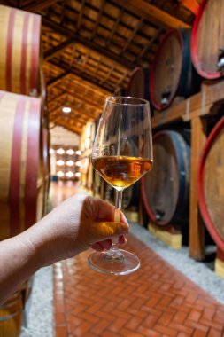 Eski büyük meşe fıçılarıyla şarap mahzenini ziyaret etmek, Marsala, Sicilya, İtalya ve şarap endüstrisindeki varillerden alınmış bir bardak güçlendirilmiş veya lezzetli marsala şarabı.