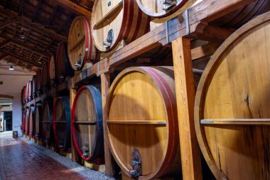 Eski büyük meşe fıçılarıyla şarap mahzeni ziyareti, Marsala, Sicilya 'da güçlendirilmiş kuru veya tatlı marsala şarabı üretimi, İtalya' da şarap endüstrisi