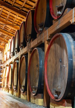 Eski büyük meşe fıçılarıyla şarap mahzeni ziyareti, Marsala, Sicilya 'da güçlendirilmiş kuru veya tatlı marsala şarabı üretimi, İtalya' da şarap endüstrisi