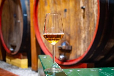 Eski büyük meşe fıçılarıyla şarap mahzenini ziyaret etmek, Marsala, Sicilya, İtalya ve şarap endüstrisindeki varillerden alınmış bir bardak güçlendirilmiş veya lezzetli marsala şarabı.