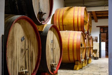 Eski büyük meşe fıçılarıyla şarap mahzeni ziyareti, Marsala, Sicilya 'da güçlendirilmiş kuru veya tatlı marsala şarabı üretimi, İtalya' da şarap endüstrisi