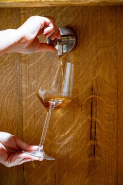 Eski büyük meşe fıçılarıyla şarap mahzenini ziyaret etmek, Marsala, Sicilya, İtalya ve şarap endüstrisindeki fıçılardan güçlendirilmiş veya tatlı marsala şarabı dökmek.