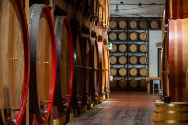 Eski büyük meşe fıçılarıyla şarap mahzeni ziyareti, Marsala, Sicilya 'da güçlendirilmiş kuru veya tatlı marsala şarabı üretimi, İtalya' da şarap endüstrisi