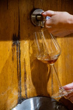 Eski büyük meşe fıçılarıyla şarap mahzenini ziyaret etmek, Marsala, Sicilya, İtalya ve şarap endüstrisindeki fıçılardan güçlendirilmiş veya tatlı marsala şarabı dökmek.