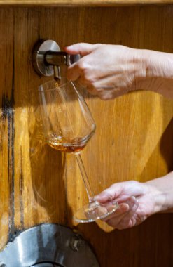 Eski büyük meşe fıçılarıyla şarap mahzenini ziyaret etmek, Marsala, Sicilya, İtalya ve şarap endüstrisindeki fıçılardan güçlendirilmiş veya tatlı marsala şarabı dökmek.