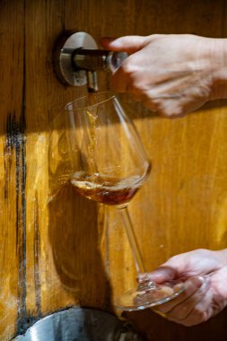 Eski büyük meşe fıçılarıyla şarap mahzenini ziyaret etmek, Marsala, Sicilya, İtalya ve şarap endüstrisindeki fıçılardan güçlendirilmiş veya tatlı marsala şarabı dökmek.