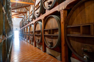 Eski büyük meşe fıçılarıyla şarap mahzeni ziyareti, Marsala, Sicilya 'da güçlendirilmiş kuru veya tatlı marsala şarabı üretimi, İtalya' da şarap endüstrisi