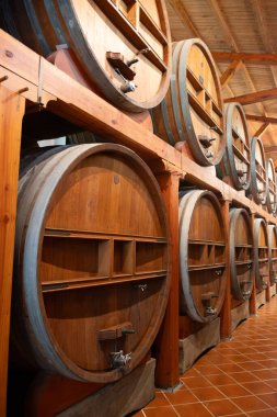 Eski büyük meşe fıçılarıyla şarap mahzeni ziyareti, Marsala, Sicilya 'da güçlendirilmiş kuru veya tatlı marsala şarabı üretimi, İtalya' da şarap endüstrisi