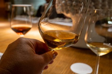 Eski büyük meşe fıçılarıyla şarap mahzeni ziyareti, güçlendirilmiş kuru veya tatlı marsala şarabı ile tatma bardakları Marsala, Sicilya, İtalya 'da şarap endüstrisi