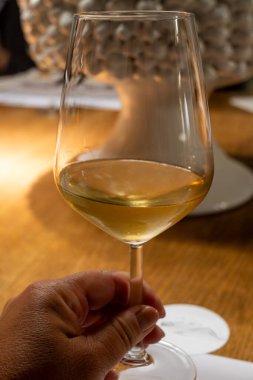 Eski büyük meşe fıçılarıyla şarap mahzeni ziyareti, güçlendirilmiş kuru veya tatlı marsala şarabı ile tatma bardakları Marsala, Sicilya, İtalya 'da şarap endüstrisi